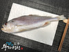 부자생선 맛있는 저염식 손질생선 생선구이 반건조  침조기 41cm 중