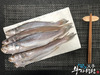 (부자생선) 반찬용 마른생선 생선구이 반건조 민어조기 소 중 대 10마리